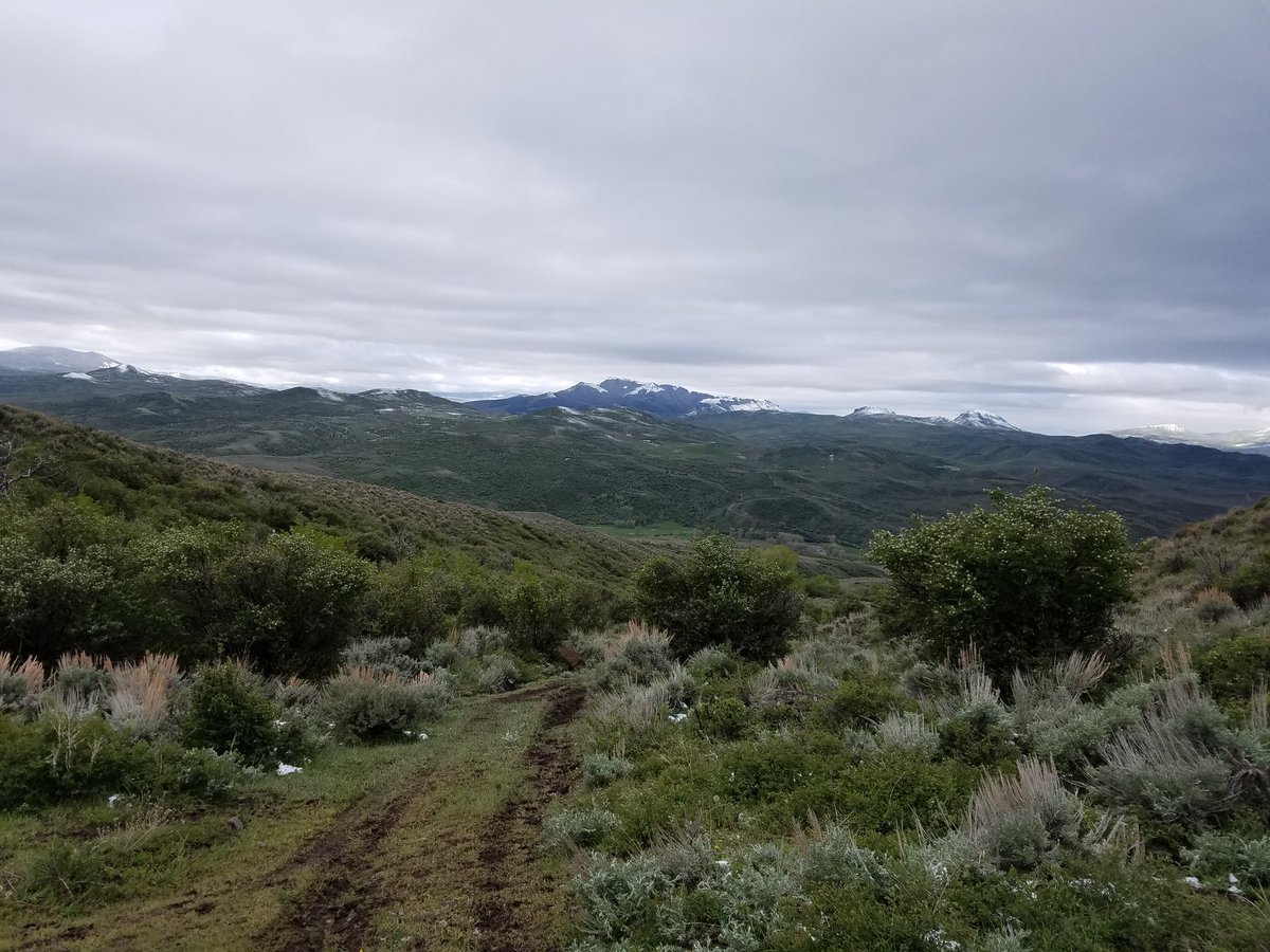 OcSpeed's tweet image. So much work to do, too pretty to get it done