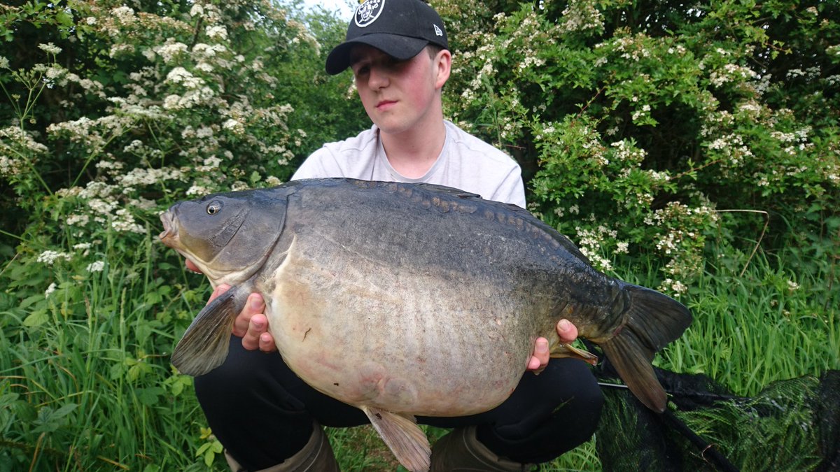 JevCarp's tweet photo. Nice result from a quick day session on my first visit to a new venue caught using a blue mussel popup #northernbaits #Carp #mirrorcarp https://t.co/a3MxvC5rA9