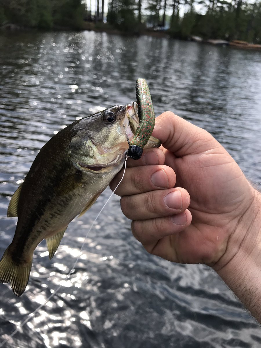 Jeff Hesketh tweet media