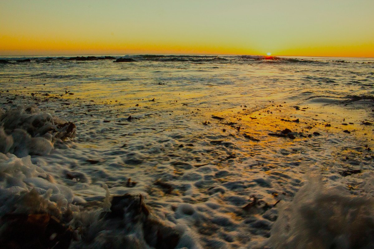 liezlmari's tweet photo. #LifeGiving #Oceans = Worth Gallons in #RealGold :)
#mybigwish PLS #SeeANEW> #RISE #COMEUP402 #RAIN #Climate
#RESPECT #Ocean1ST @UNEP RT https://t.co/fY0YM5aAf7