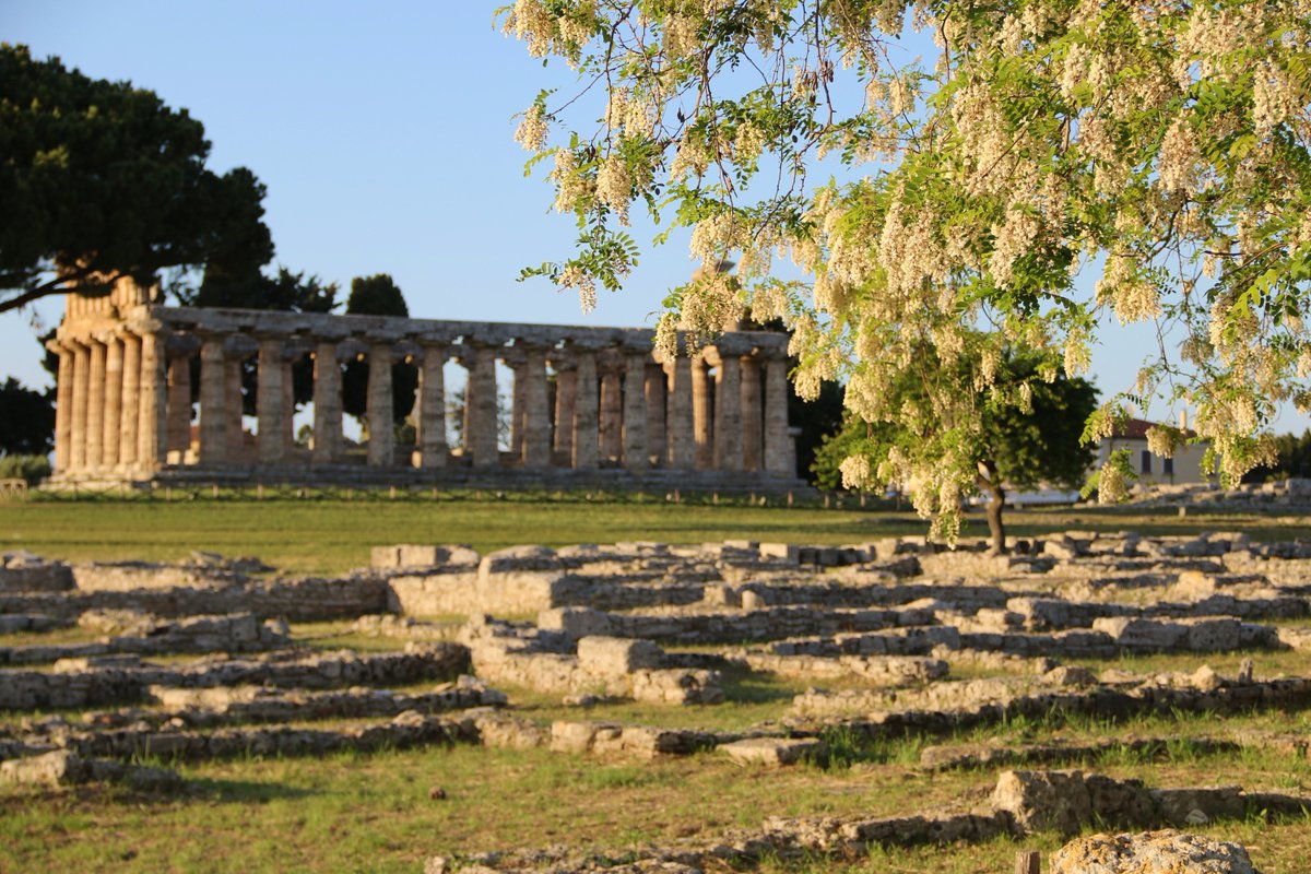 vantonio1977's tweet photo. Meraviglia Mediterranea. #liveforthestory #archeologia #paestum #magnagrecia https://t.co/ygOQhHNECj