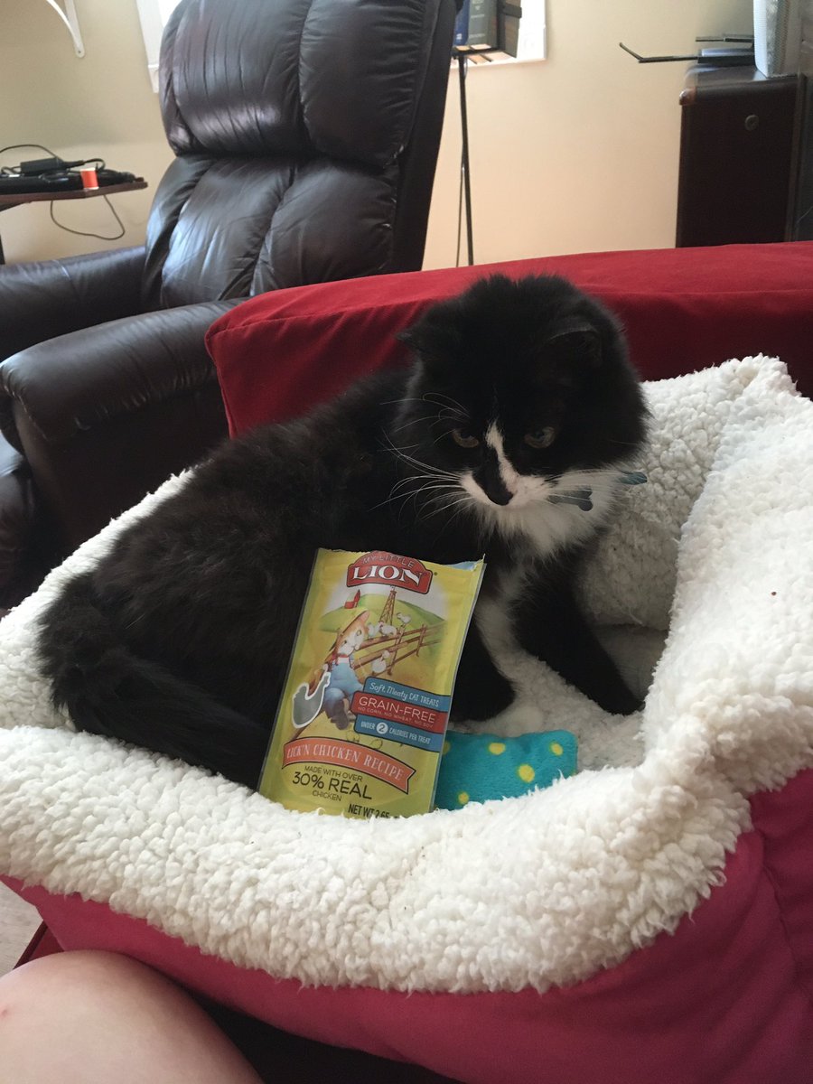 okimlostnow's tweet photo. @KitNipBox my cat loves your summer box #kitnip https://t.co/swzVc72tIg