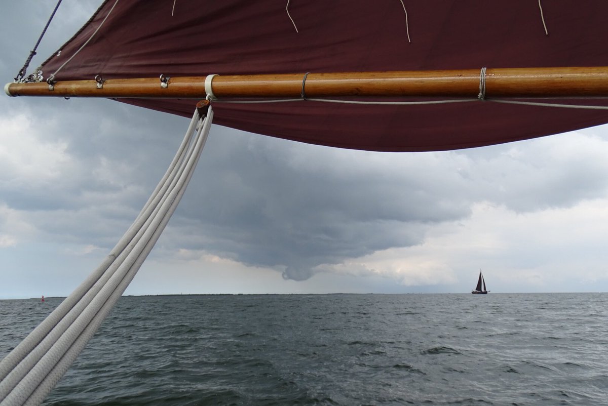 ElsLicht's tweet photo. Zaterdag 1e #wad #zeildag voor ons vanuit #Lauwersoog  #Engelsmanplaat #ankeren Weer #topervaring #mooieluchten #zeehond #aalscholver #zwerm https://t.co/NmR7Q98kcj