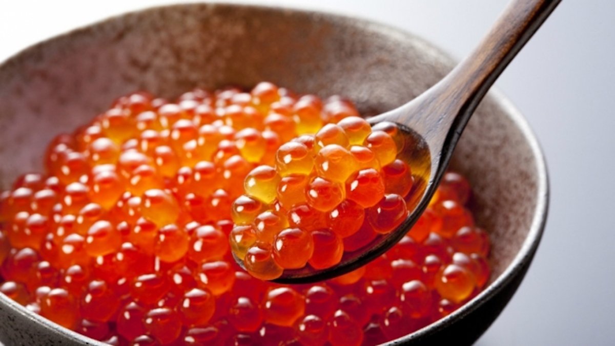 WellPlusChile's tweet photo. OmegaPlus está hecho de caviar de arenque, pez que habita en el Mar Ártico y en los fiordos de Noruega.
OmegaPlus el mejor Omega3 del mundo https://t.co/KNQt02L253