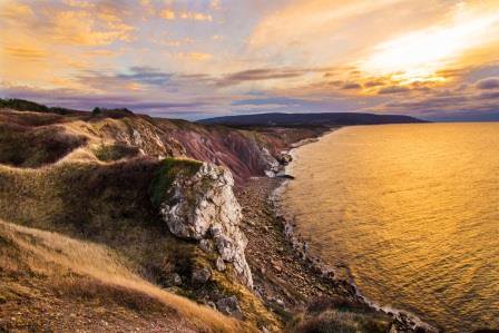TourismCB's tweet photo. “The Hottest Island In Golf - With The Nation's Two Best Courses” - Larry Olmsted
@Forbes https://t.co/fpgCYRo42Q
#ExploreCB https://t.co/39PSgJaRja
