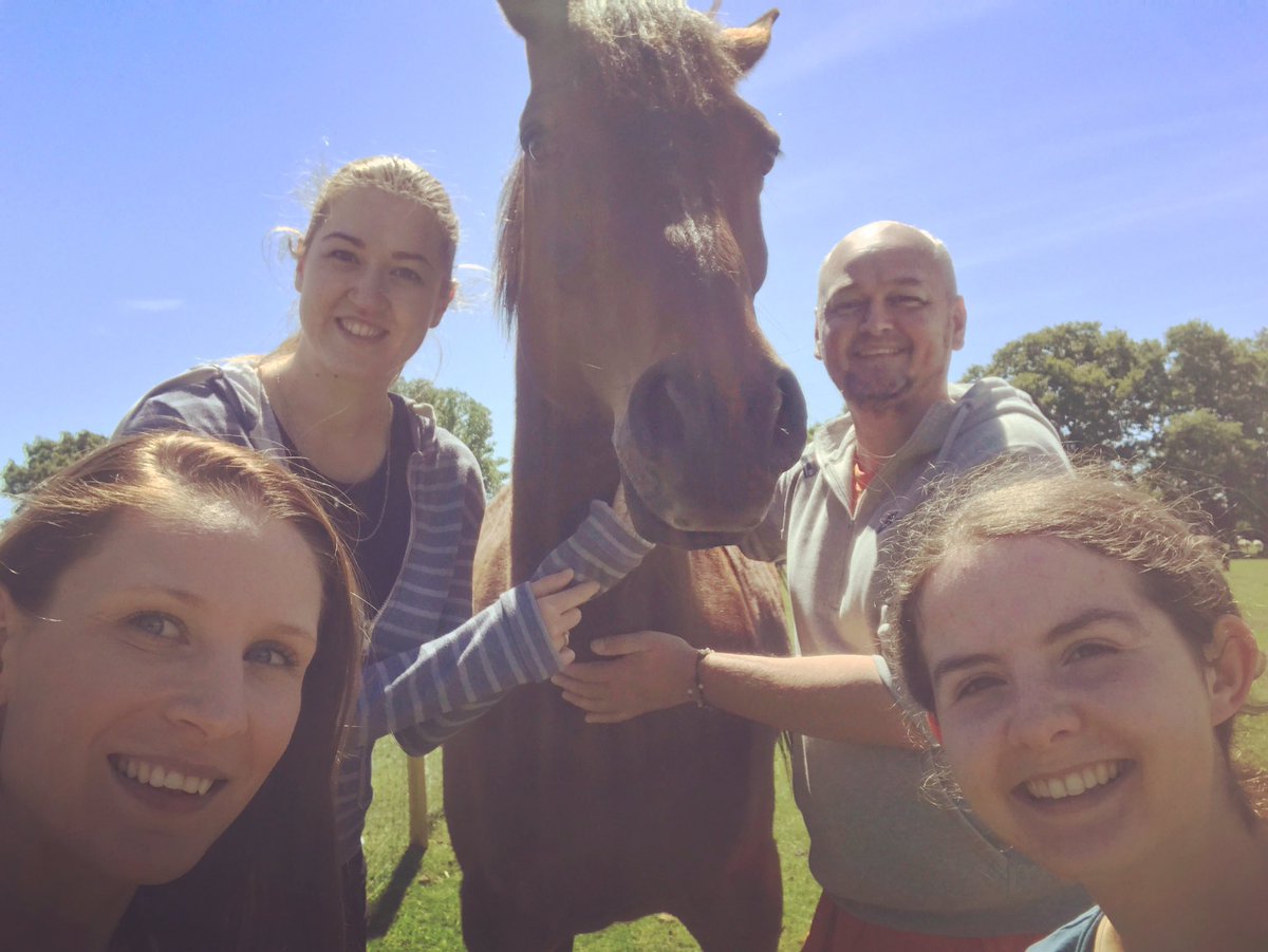 Horse team Selfie Sunday with Eddie and The Boss! #theretreatanimalrescue #gorgeousEddie #TheBoss #horseteam #savedbyBilly