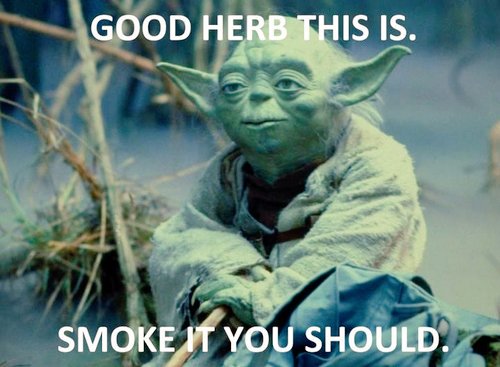 Partakery's tweet image. #TalkLikeYodaDay  @Partakery - Open it is.  Visit you should.  #SeattleStoners #CannabisCommunity 21+ #Cannabis4us #weed till 7 tonight