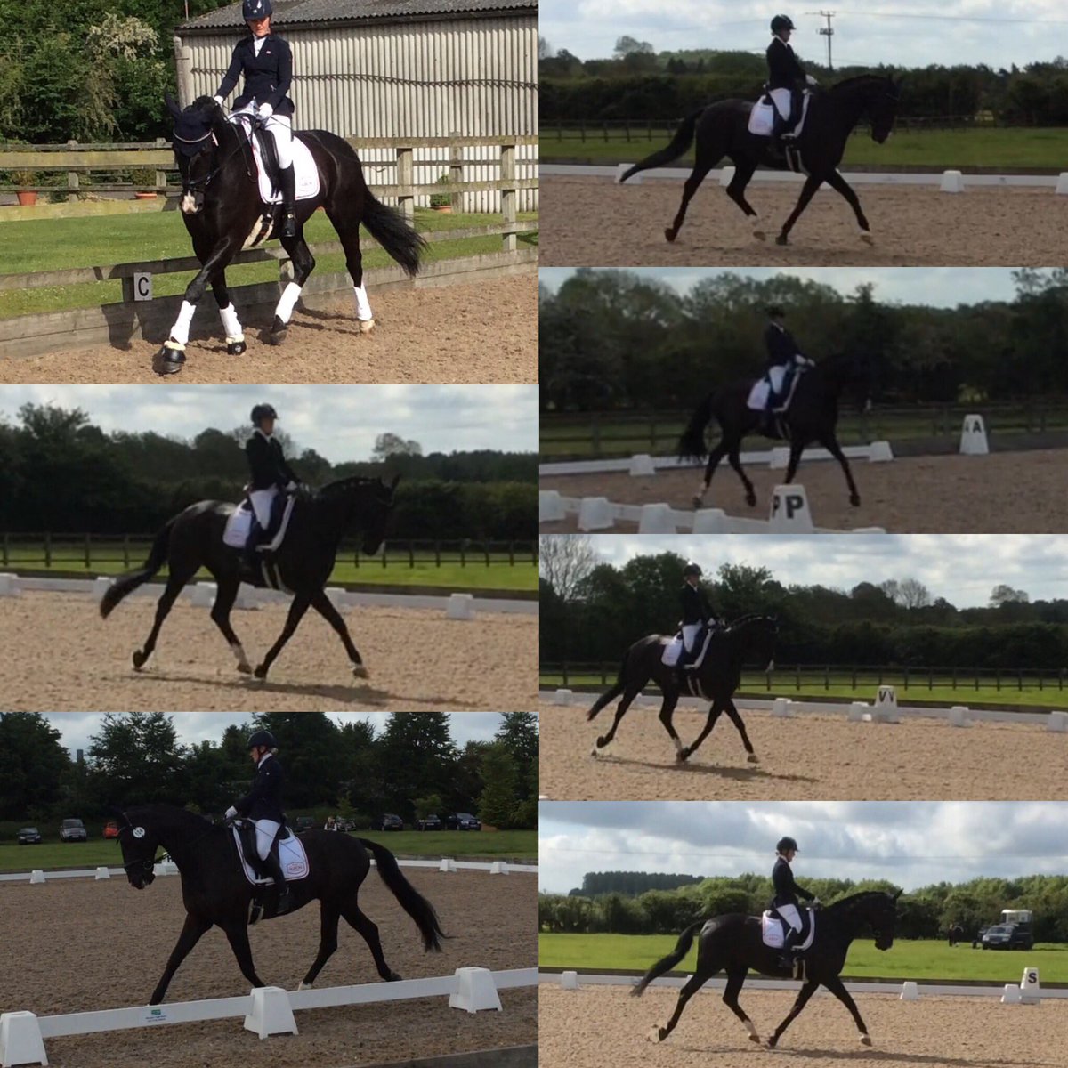 A #WinnerWinnerChickenDinner kind of day for Sid. #cleversid #grateful