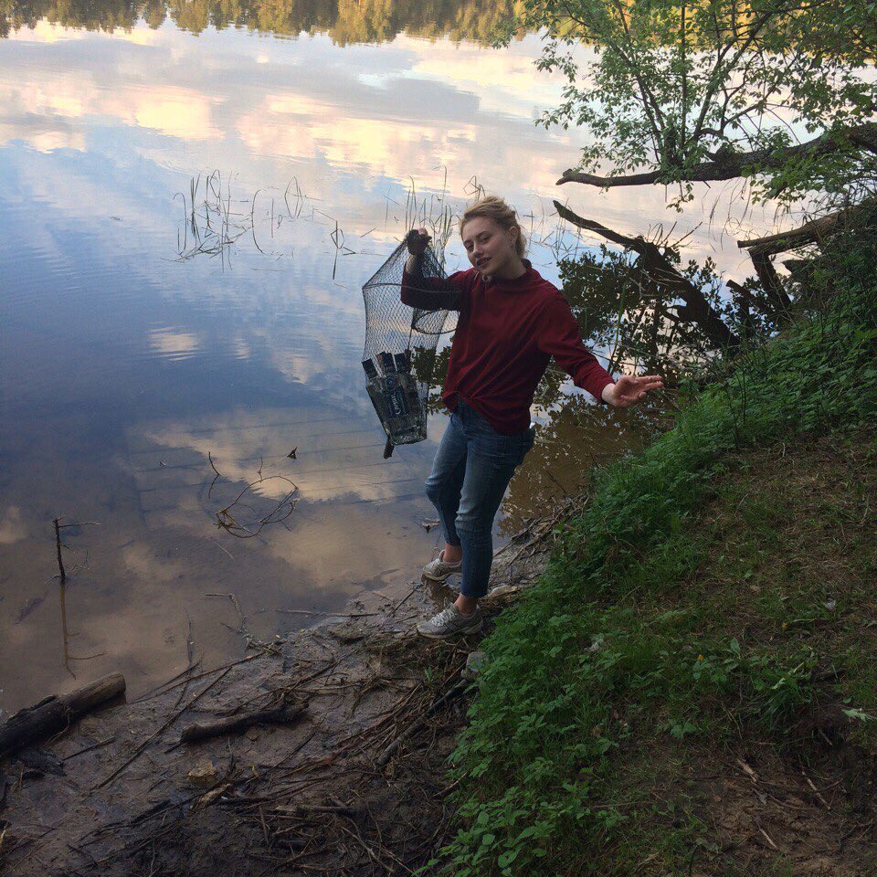 badaniaaaa's tweet photo. Палаточный городок 🌲🌳☘️🍀💚 https://t.co/tUSejv4z3r