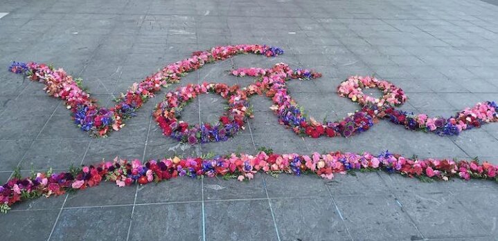 kkaliyeva's tweet photo. Love these #FlowerFlashes created by #lewismillerdesign https://t.co/t8KYXk7yr9 https://t.co/8tto66nyXC