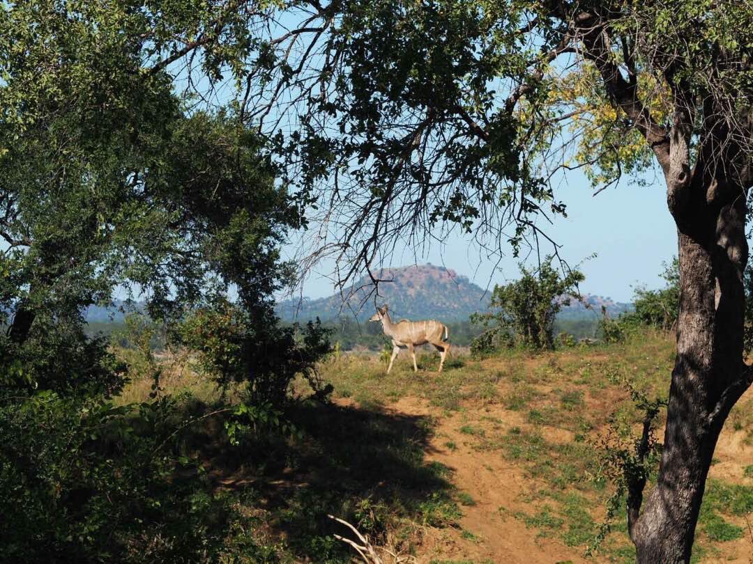 P_VanDamme_EU's tweet photo. #EUonTour in Ghonarezou: what an underexploited natural &amp; touristic resource! What a wonderful day @Destination_Zim https://t.co/GT7AofCjAm