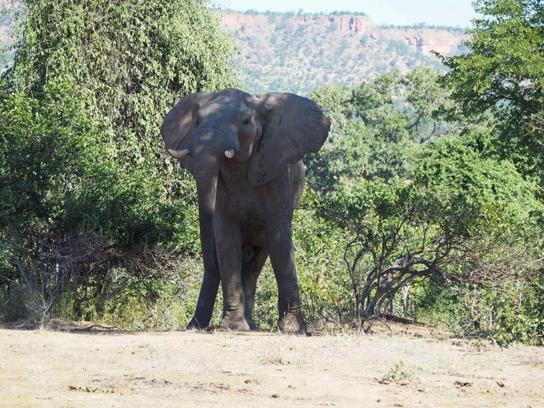 P_VanDamme_EU's tweet photo. #EUonTour in Ghonarezou: what an underexploited natural &amp; touristic resource! What a wonderful day @Destination_Zim https://t.co/GT7AofCjAm