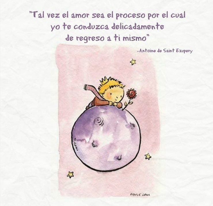 iPrincipito's tweet photo. Tal vez el amor sea el proceso... https://t.co/jS7L3wY3Pf