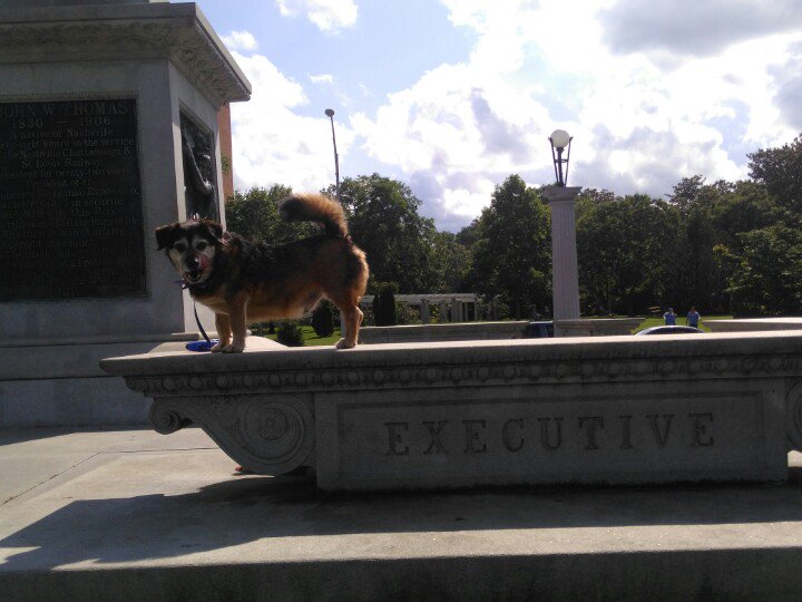 Brian_Ob5's tweet photo. Bucky is a dog of many traits https://t.co/cSP6uoq2yd