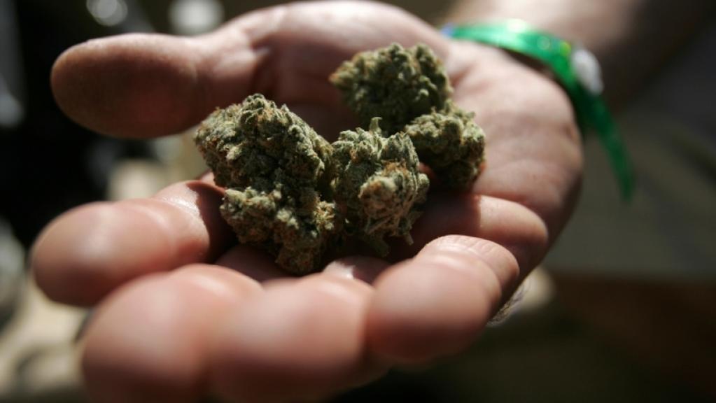 MendocinoGroup's tweet photo. How companies are trying to bring #Marijuana ads online https://t.co/hoU6tb4nmd  via @Entrepreneur https://t.co/ziupD76cUf