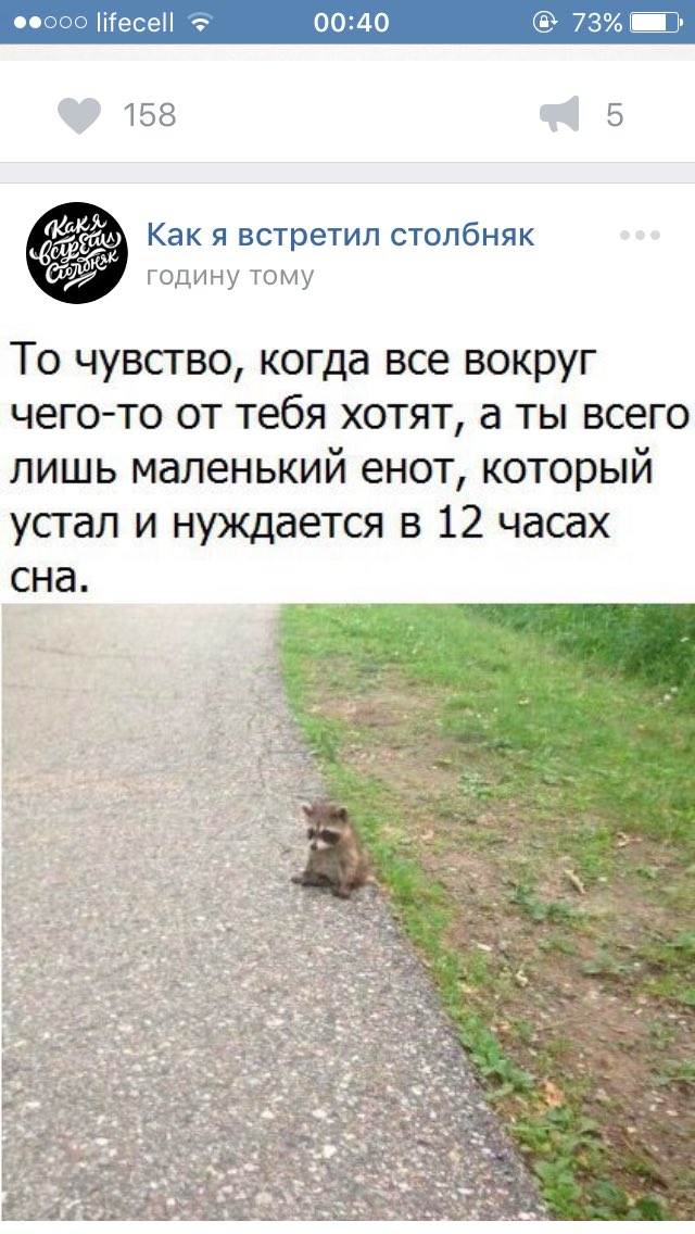 windshadow21's tweet photo. Почнемо сьогодні ж! https://t.co/kzpAidbzIW
