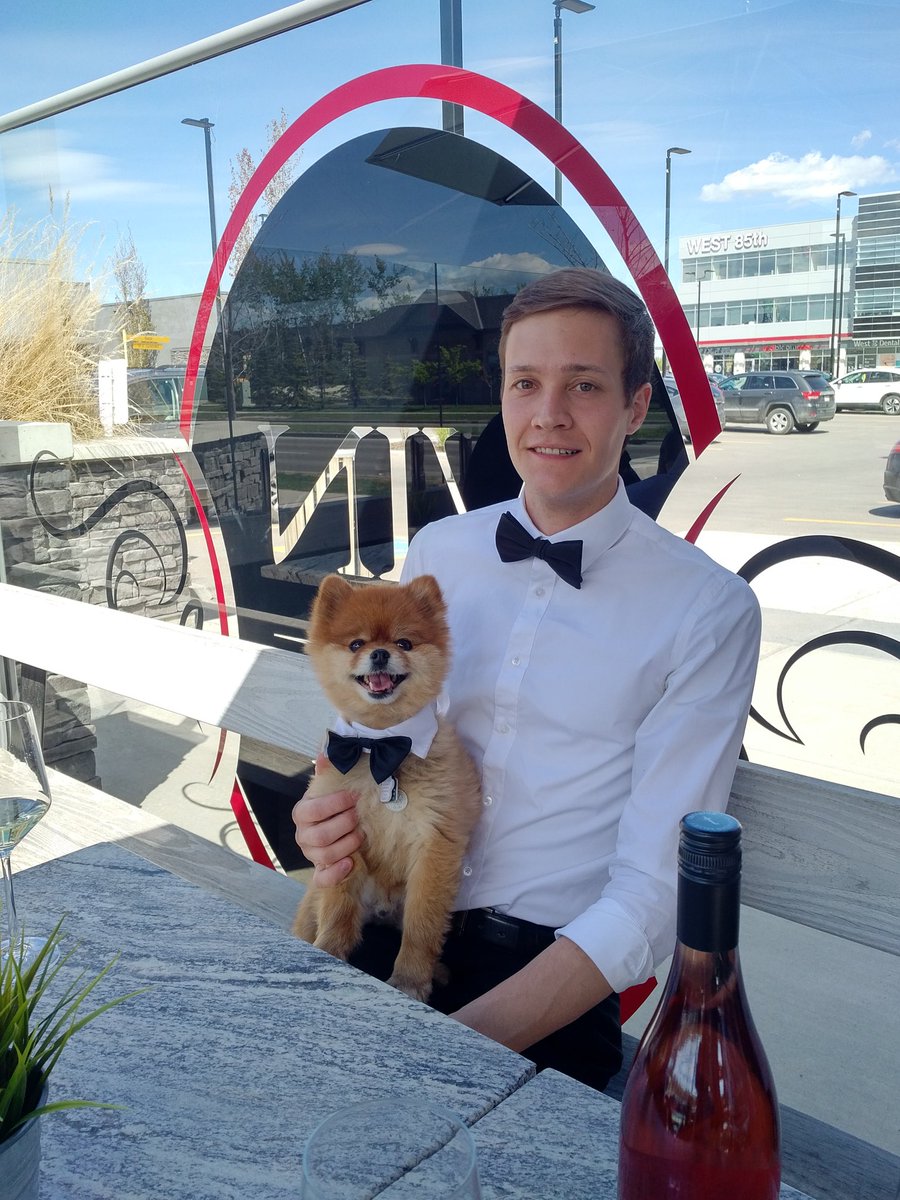 VinRoom's tweet photo. Our patio is open today! Dom and Jared are here to hang out with you @Vinroom West. #patiotime #dogfriendly #wine #west85th https://t.co/wfsXPSWEjM