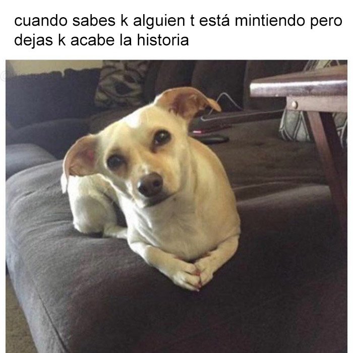 yisucrist's tweet photo. no me creo tus mierdas bro https://t.co/ouj1nrByy3