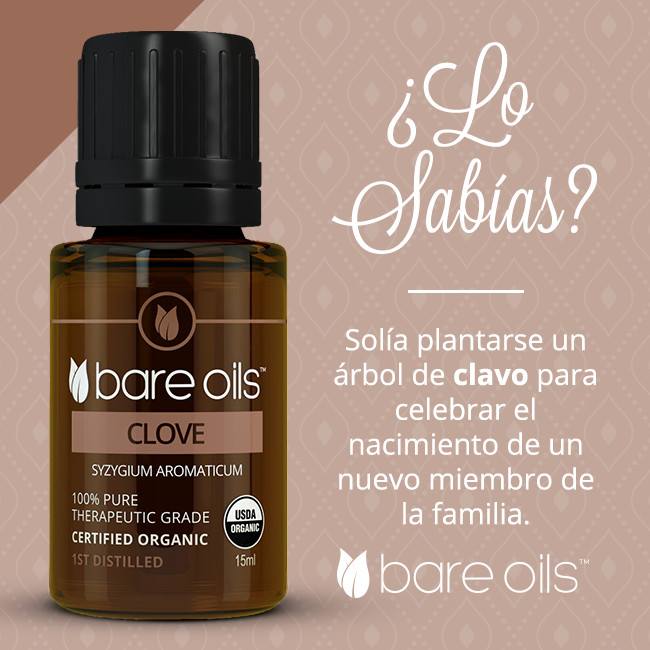 YORBareOils's tweet photo. #Sabíasque solía plantarse un árbol de clavo para celebrar el nacimiento de un nuevo miembro de la #familia? #aceitesesenciales #natural #ae https://t.co/kqvKQId3bg