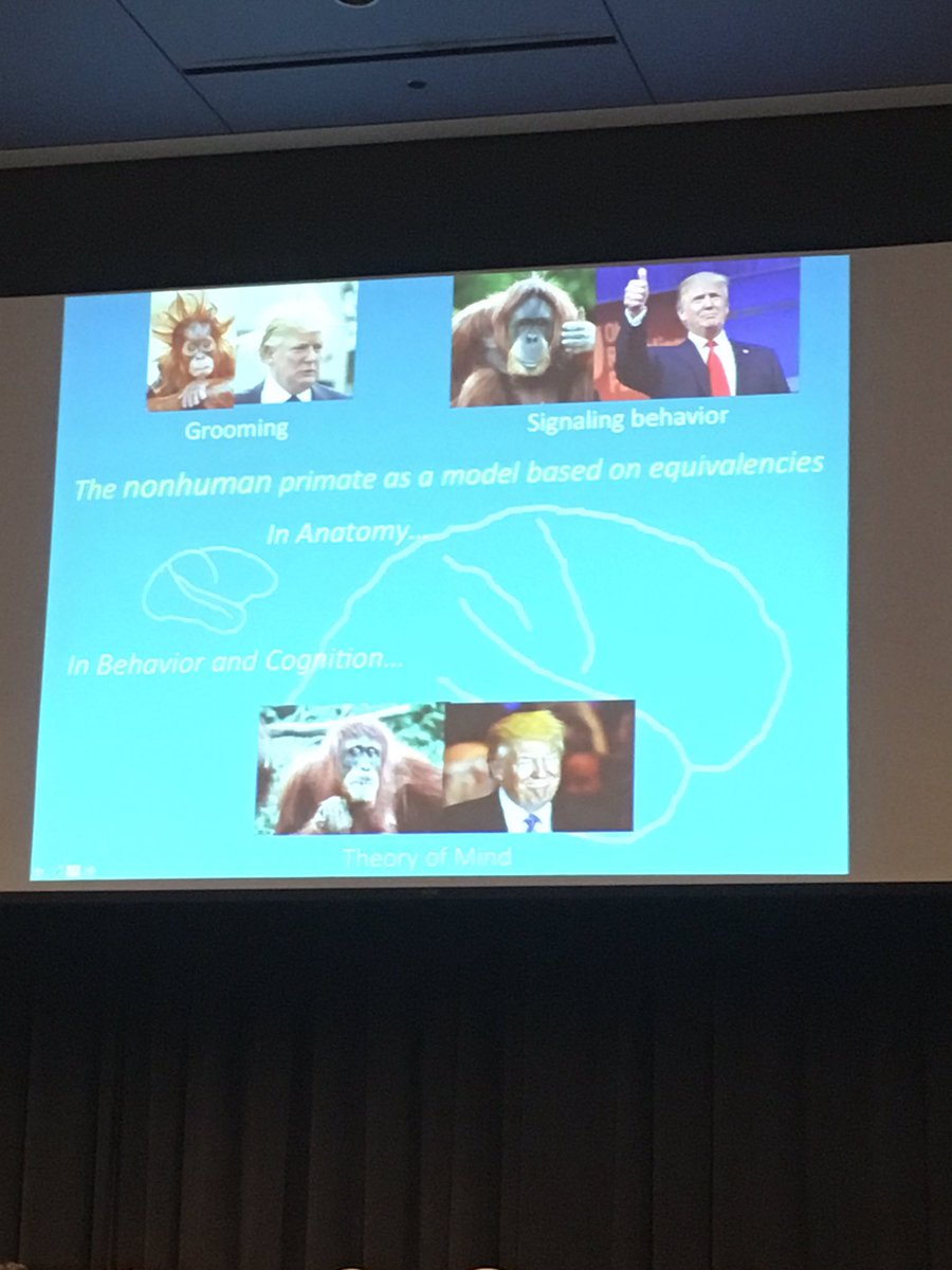 dcowiedurham's tweet photo. Slide of the century! #IMRF2017 https://t.co/pRPd5mtUlc