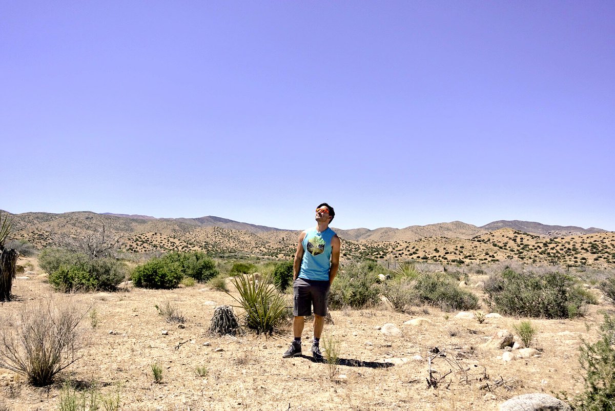 markiplier's tweet image. im fuckin lost