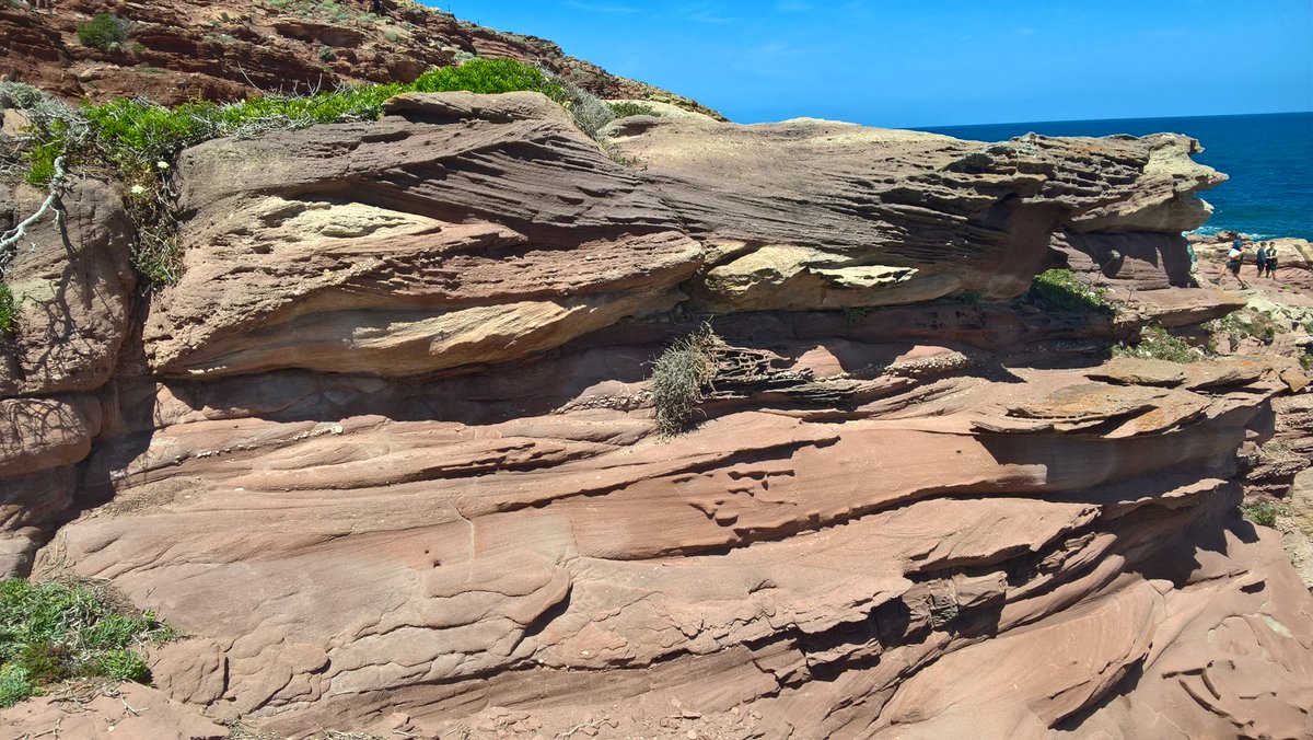 The Rock Library tweet media