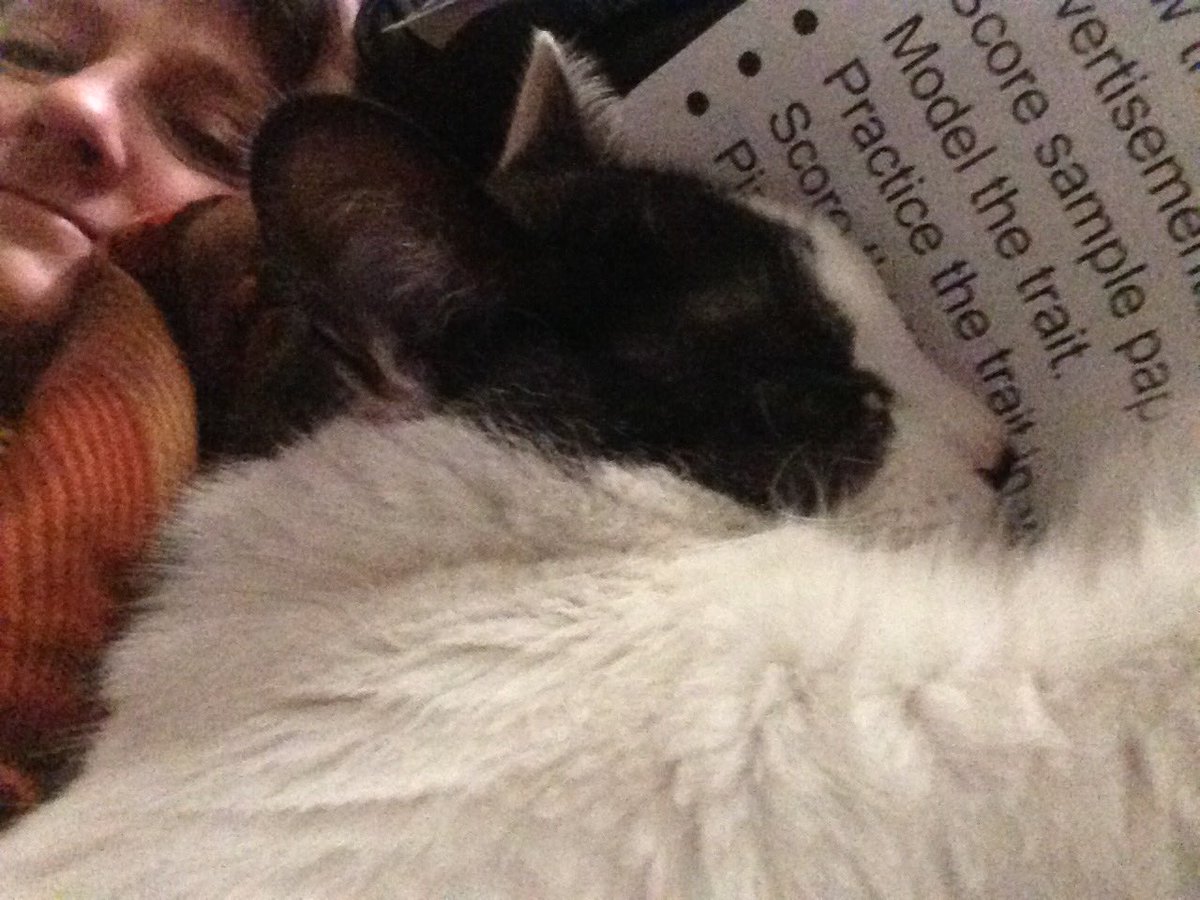 Mason loves a Sunday afternoon nap!