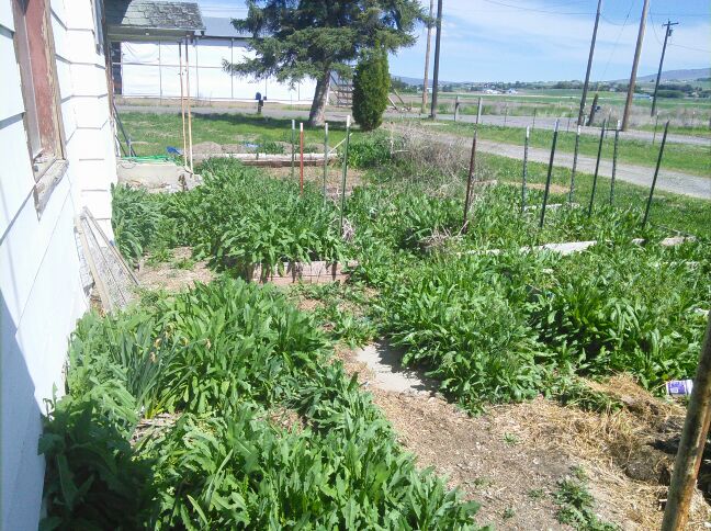 Tiffany McLeod tweet media