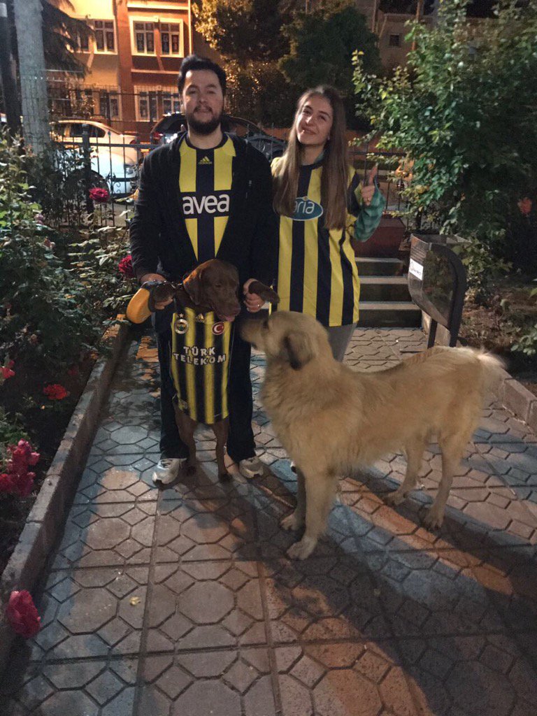 merveecinar's tweet photo. #fenerbahçe #oley #mutluyuz #cunkubiz #fenerbahceliyiz #şampiyon #fenerbahçebasketbol 💙💛💙💛@Batuhanoghan https://t.co/hPD7IkTAyr