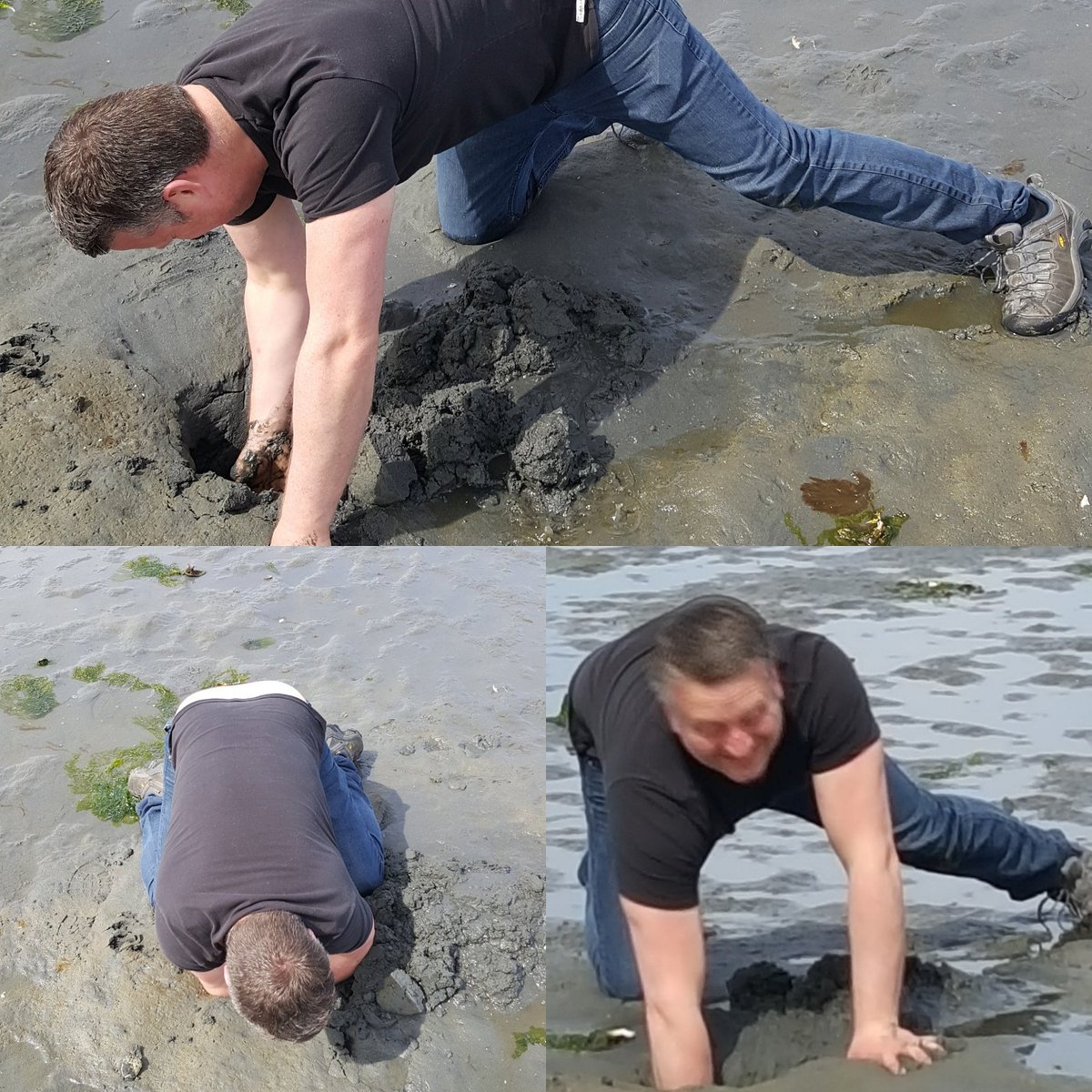 Hanksvic's tweet photo. Clam digging.....hey @outlandishshellfish how's Mr. Andrews form? #tofino #clamdigger https://t.co/UZpIWDOhsK
