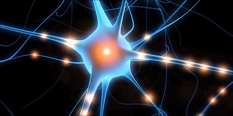 7 Cool Facts About #Cannabis And The Endocannabinoid System go.the420wire.com/gxek0 #sativa #pot #hemphealth