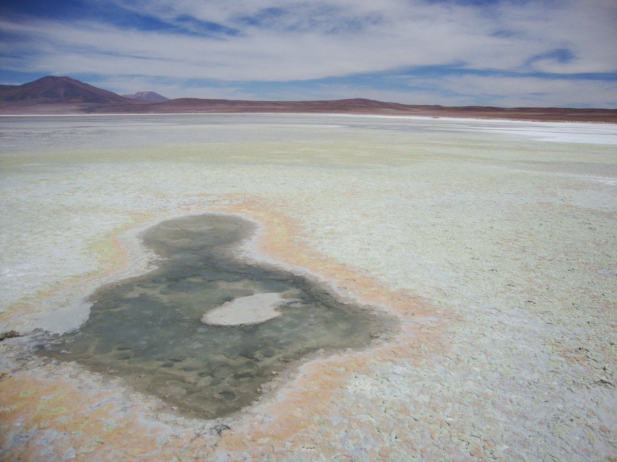 criordor's tweet photo. Microbial life in Altiplano and Atacama Desert, northern Chile #MicrobialConservation #BiodiversityDay https://t.co/b0Rtso4ffB