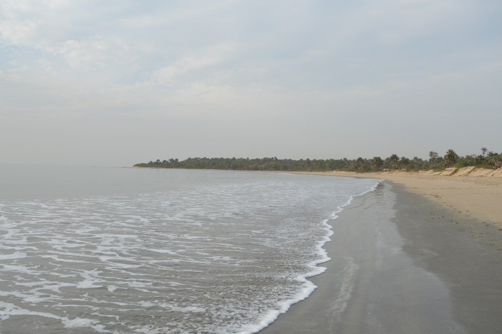 Stor oro för kinesiska företags överfiskning i Gambia och övriga Västafrika afrope.se/2017/05/22/sto…