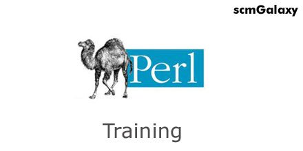 Perl html. Perl. perl 5. perl logo. perl de sois краска.