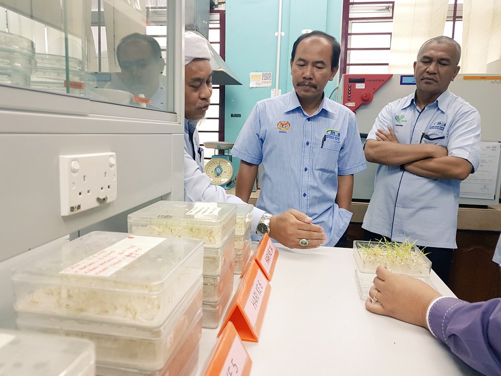 IsmailBakar60's tweet photo. Benih padi sah yg mapan perlu dipelbagaikn bg memastikan relevan kpd industri. #foodsecurity #ourfoodourfuture  @shaberyc @moaMalaysia https://t.co/KVgV7ZBnv3