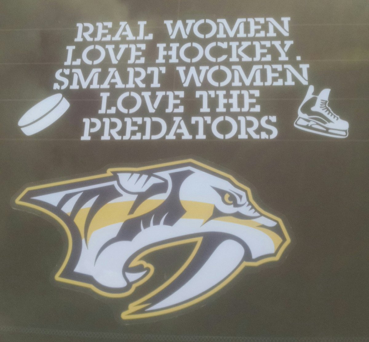 AndriaJTerry's tweet photo. @PredsNHL  Go Preds! https://t.co/roaPfXQxRF