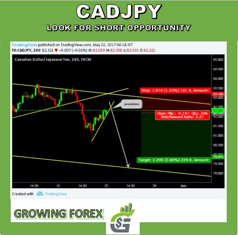 GrowingForex's tweet photo. If it doesn't challenge you it won't change you.
#weeklyperspective #growinginfoservices #growingforex #growingforexsignals https://t.co/40Iyx5rz9n