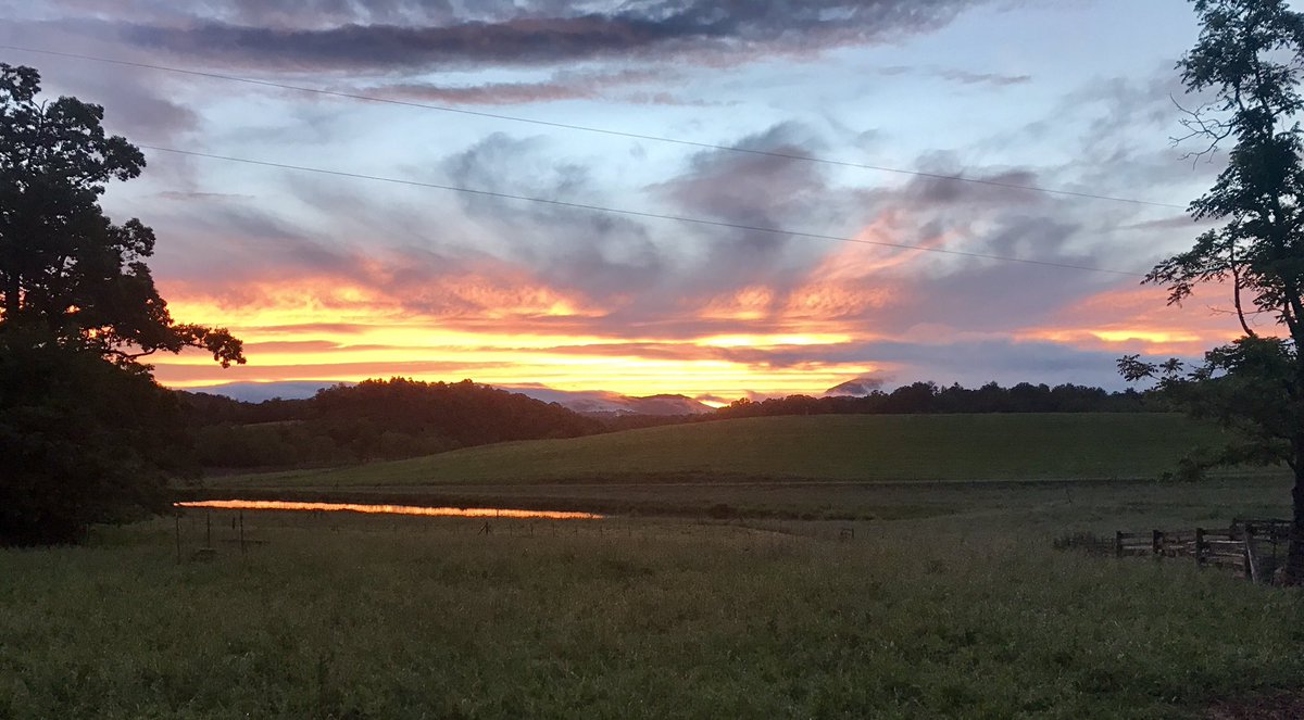 Sunset just now. "Life's evening sun is sinking low, a few more days and I must go" <a href="/NCAgriculture/">NCDA&CS</a> <a href="/sedairy/">mamdooh_sedairy</a> @GotMilk