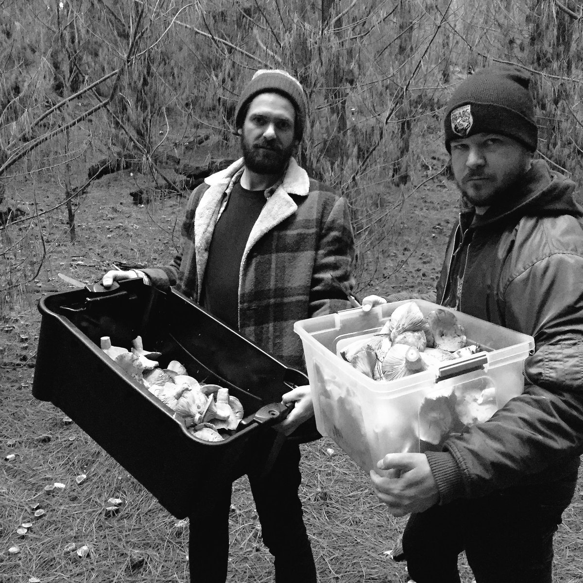 The Scratch Bar (@thescratchbar) on Twitter photo We've been out foraging mushrooms for our 'Shrooms of Doom' brew with <a href="/NakedNed/">Bridge Road Brewers</a>. The guys are taking it VERY seriously. We've been out foraging mushrooms for our 'Shrooms of Doom' brew with <a href="/NakedNed/">Bridge Road Brewers</a>. The guys are taking it VERY seriously.