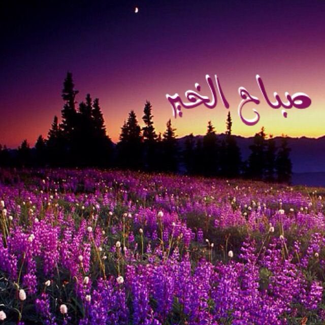 اللهم أجعله صباح خير وبركة
على المسلمين يا اكرم الأكرمين.🙏

🌷..💜