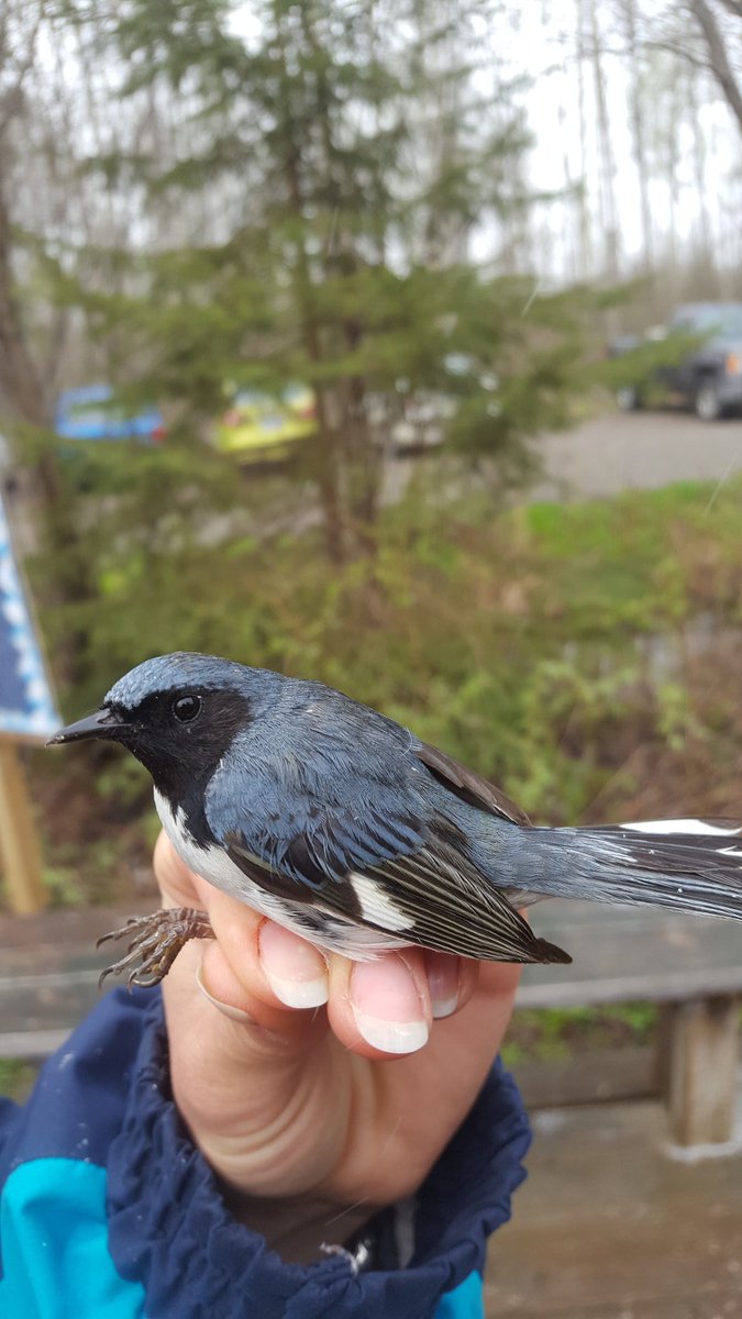 ethan_quinton's tweet photo. And some more at #HilliardtonMarsh https://t.co/It8JXAulsv