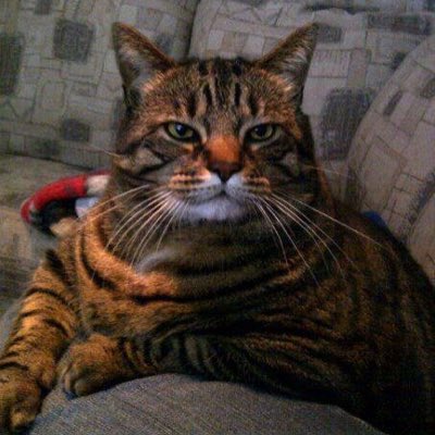AngieSaldon's tweet photo. #NewProfilePic https://t.co/JEHsd0qgWt