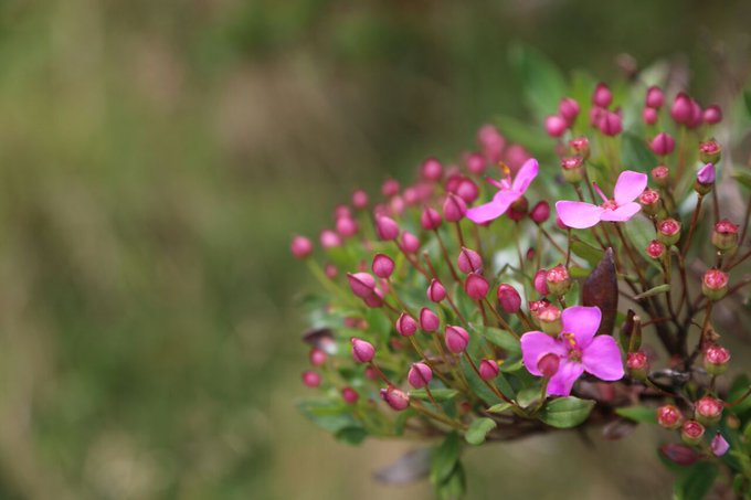 Ver imagen en Twitter