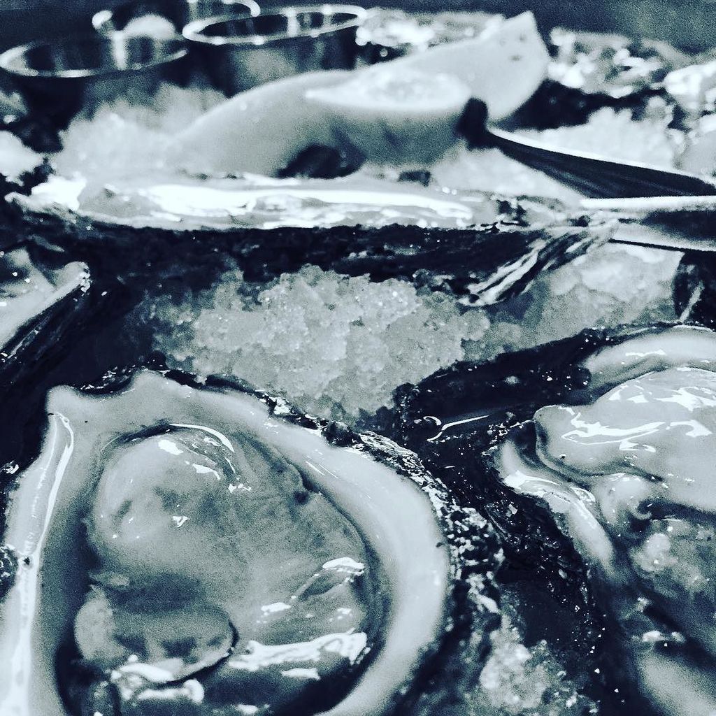 jasonkcarnegie's tweet photo. Shuckin' Sunday #oysters https://t.co/VkJwjuZcmn https://t.co/3H53Orjiw2