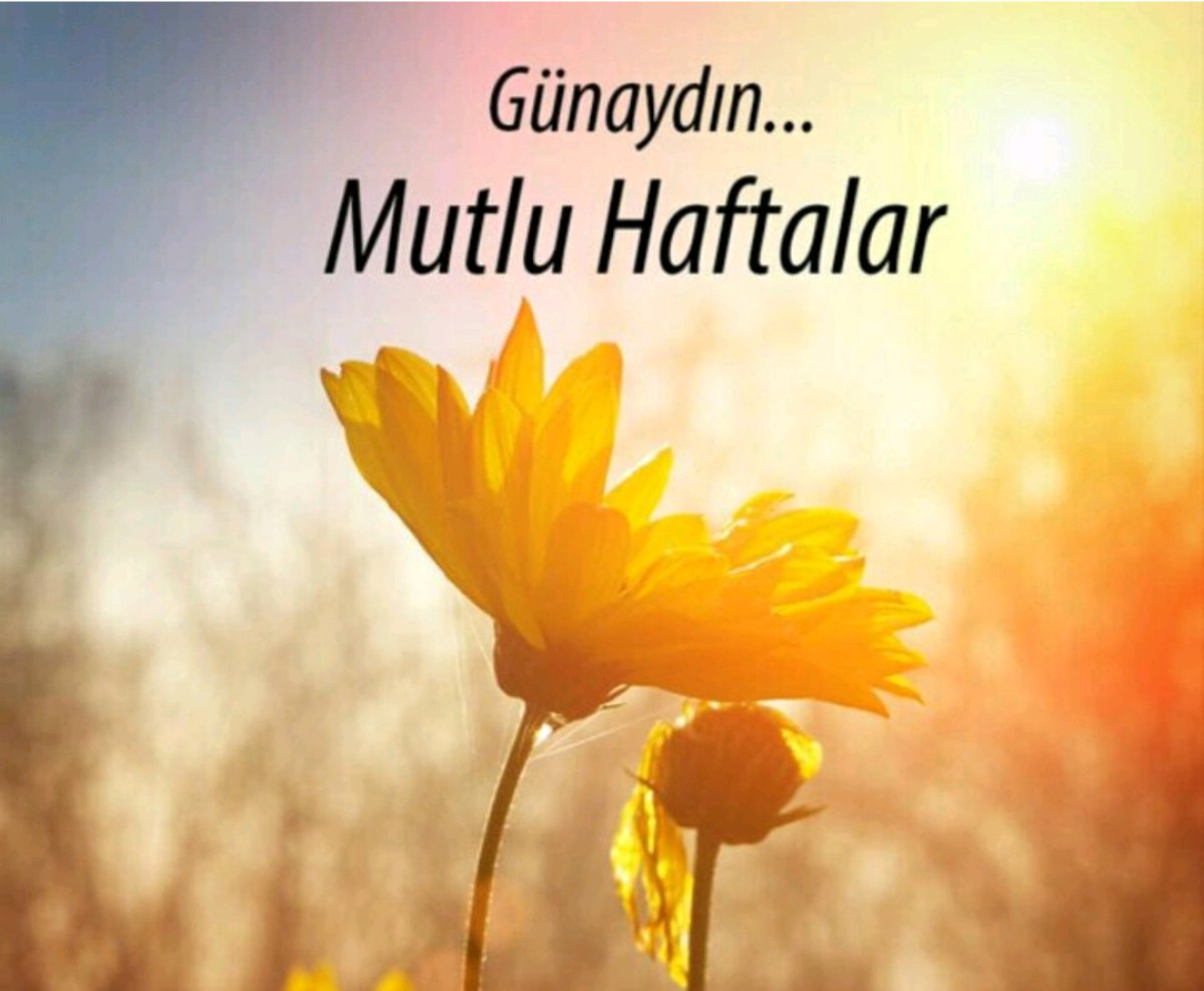 fgnKrmnn7's tweet photo. Günaydınlarrr.....⁉ https://t.co/8DqGmdYJj1