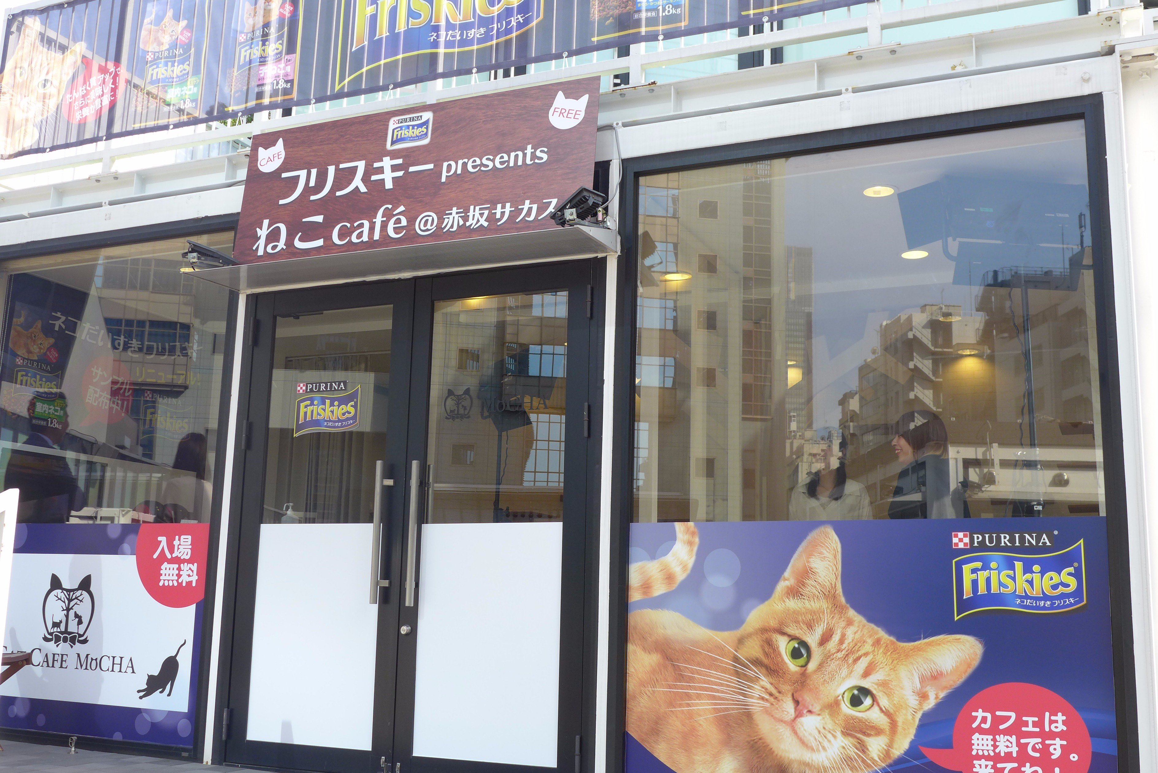 Sacasinfo 赤坂サカスに 猫カフェ 登場 フリスキーpresentsねこcafe 赤坂 サカス 今週５ 26 金 28 日 3日間限定ｏｐｅｎ 入場無料のねこカフェです フリスキーのサンプルもプレゼント ご来場お待ちしています T Co W1knxawbx1 猫