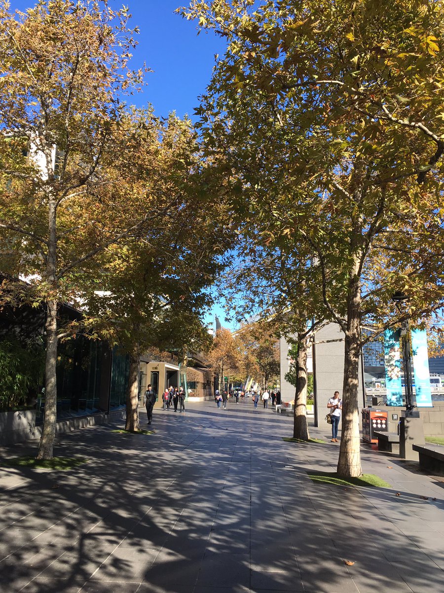 CHILI_publish's tweet photo. Ready for #web2pack at @Pacprint in #Melbourne ? See you at booth A40 @Workflowz_AU https://t.co/wNU8WkoWOF