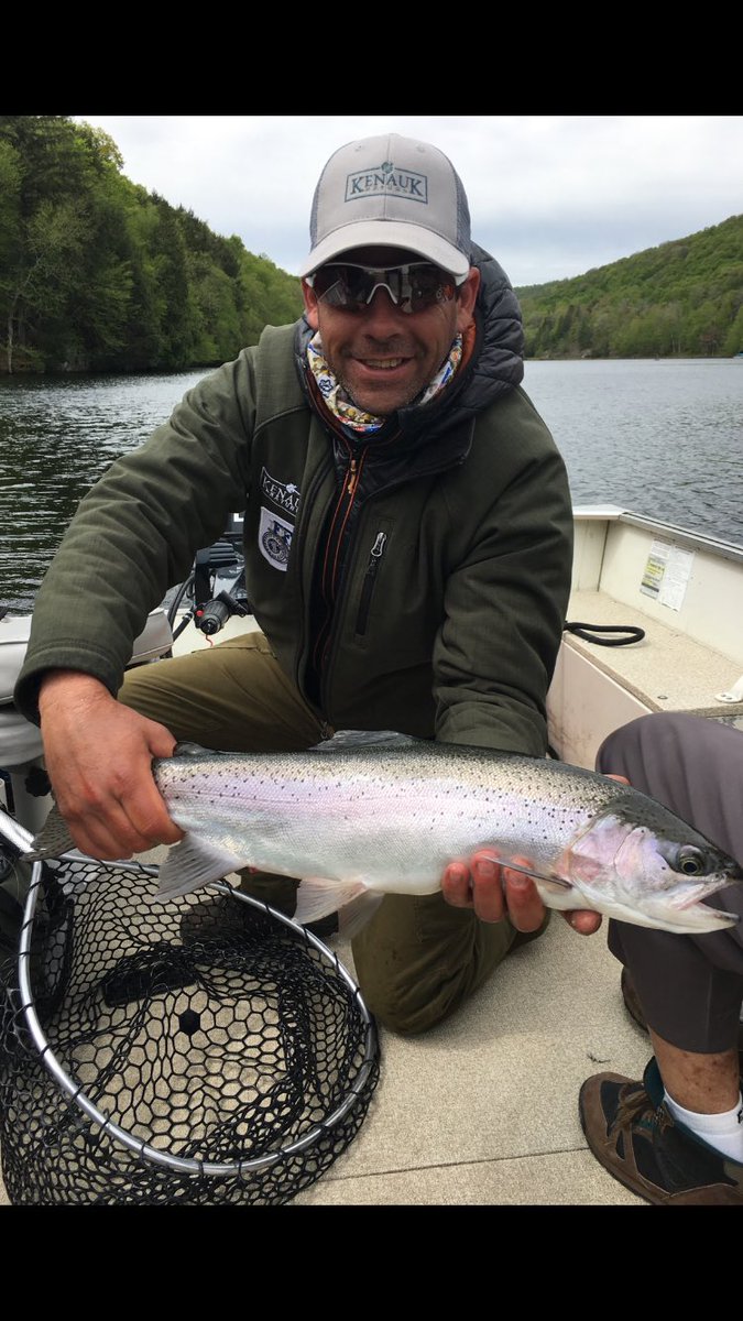 Paddy Johnson tweet media