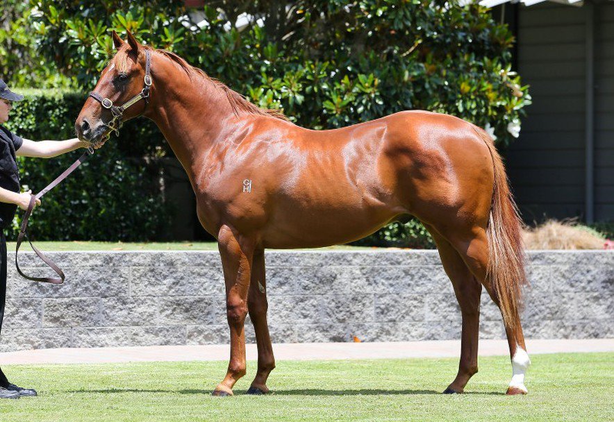 NZ Racing News (@nzracingnews) on Twitter photo Former <a href="/PikeRacing/">Pike Racing</a> galloper #HukaEagle scores big in Chairman's Challenge Cup in Macau. racingnews.co.nz/blog/post/1791… Former <a href="/PikeRacing/">Pike Racing</a> galloper #HukaEagle scores big in Chairman's Challenge Cup in Macau. racingnews.co.nz/blog/post/1791…