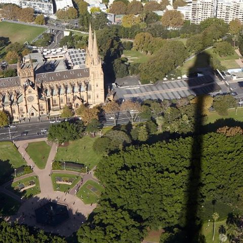 HashimK9's tweet photo. Reposting @sydneytowerbuffet:
Can you spot Sydney Tower?
#sydneytower #sydneytowerbuffet #instagood #photooftheday #instadaily #potd #love https://t.co/NJBfzTLXVr